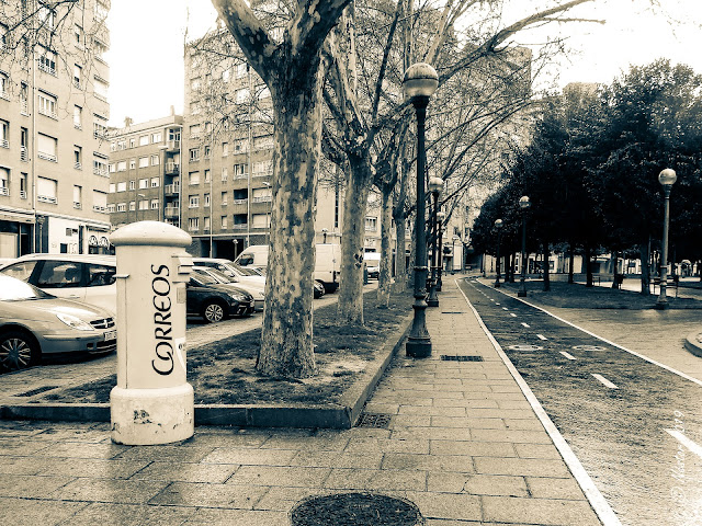 Logroño Blanco y Negro