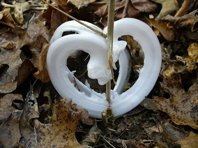 Essas flores de gelo não só existem na natureza, mas podem a ser vistas em locais onde o clima é bastante gelado. Isso corre apenas em alguns tipos de plantas devido a sua porosidade.