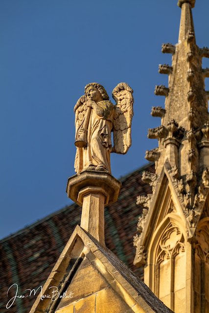 Collégiale Saint-Martin (Colmar), façade sud