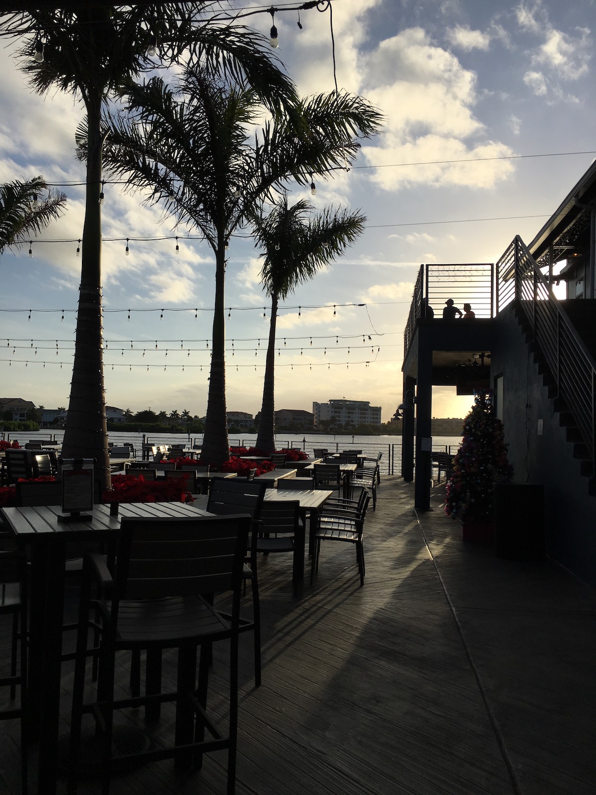 This is a photo of the palm trees and water in front of the tiki bar we were sitting at in Punta Gorda Florida.