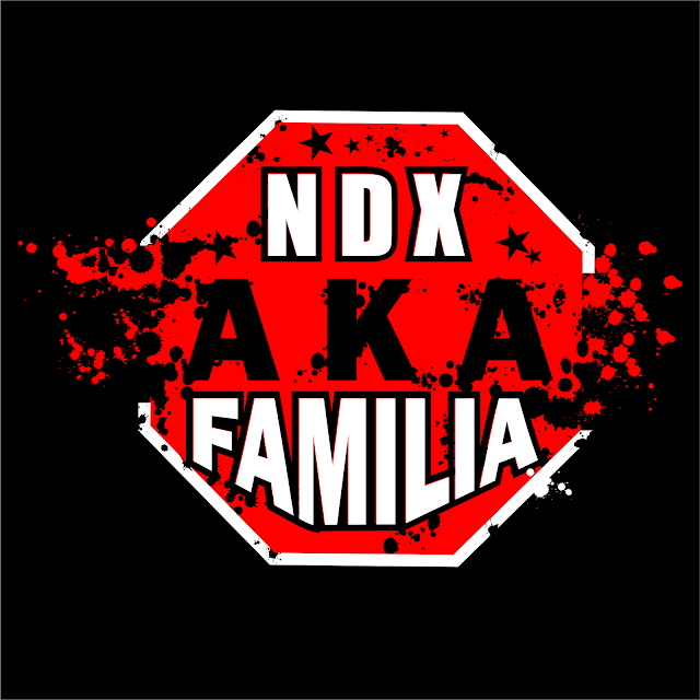 Hasil gambar untuk ndx aka logo