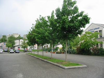 Plantation d'arbres pour parking