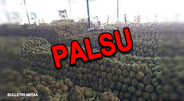 Pesta Durian Teluk Intan yang viral di media sosial kini 