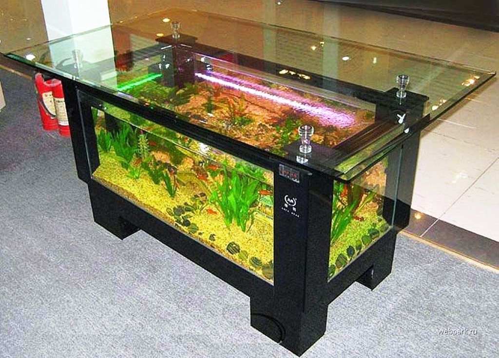  35 contoh model  dan harga meja tamu aquarium  unik dari  