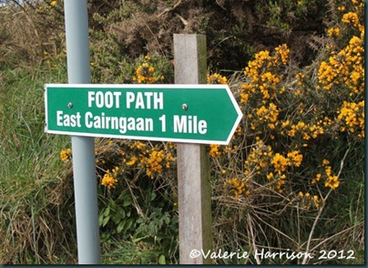 17-footpath