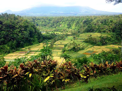 Bali Landscapes