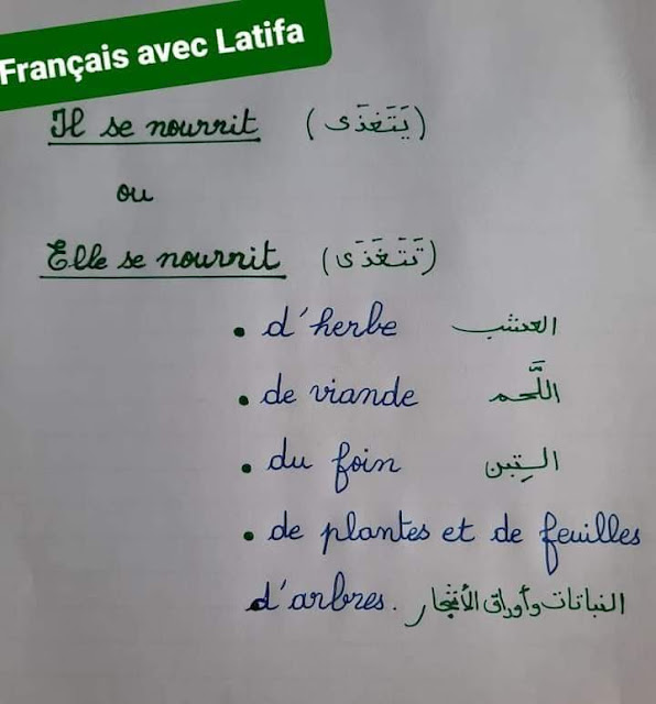 تعبير كتابي الحيوانات باللغة الفرنسية لتلاميذ الخامسة 5 ابتدائي