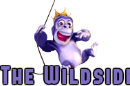 Wildside Addons, Guide Install Wildside Kodi Addons Repo