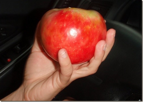honeycrisp