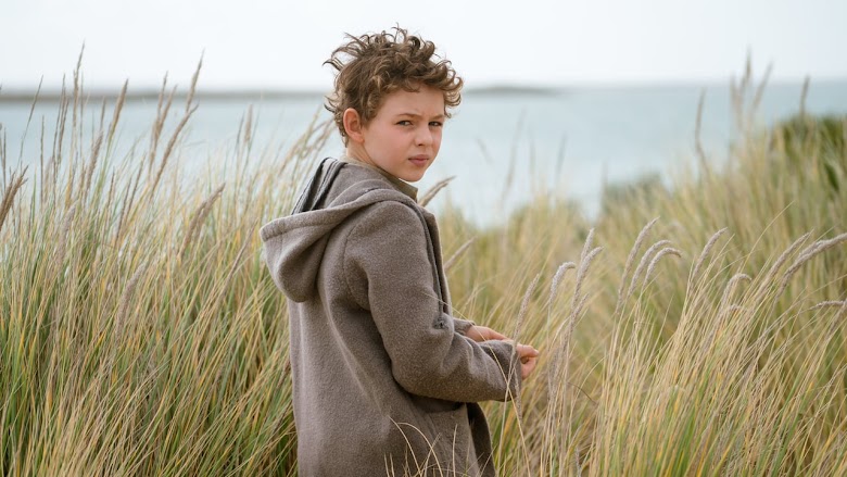 Storm Boy 2019 720p