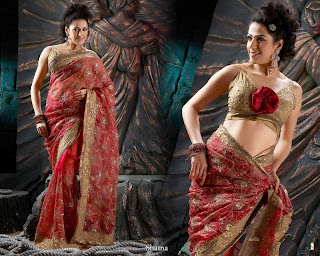 beautiful and sexy sarees for women