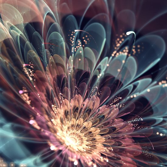 Silvia Cordedda deviantart arte fractais flores ilustração natureza ciência