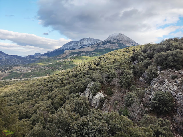 Subida circular al Pico Almadén (2.036 m) desde el Área Recreativa de la Fuenmayor (Parque Natural Sierra Mágina)