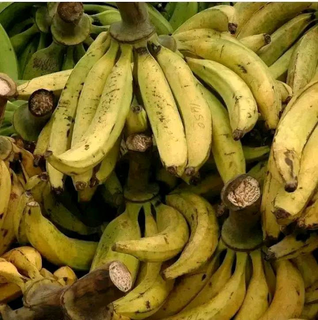COMMENT DÉTECTER LA PRÉSENCE DU FORMOL DANS UN ALIMENT ?