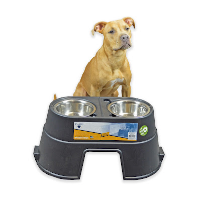 Elevated dog food dish for dogs of all sizes