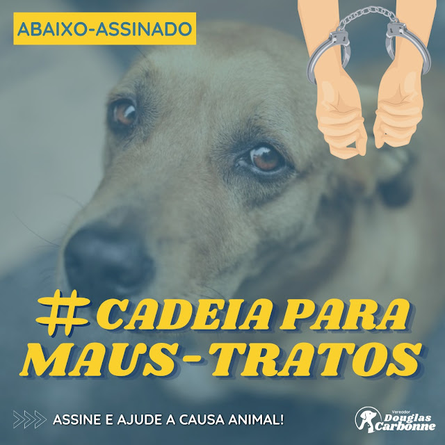 Abaixo-assinado: Cadeia para maus-tratos!