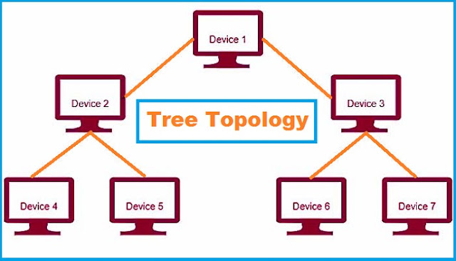 Network Topology