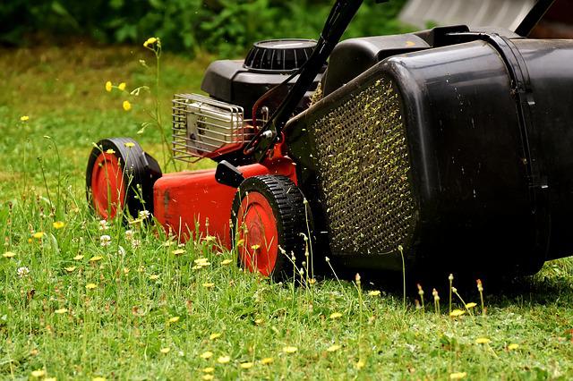 6 Ways to Help a Family Going through a Mental Health Emergency: Yard Maintenance