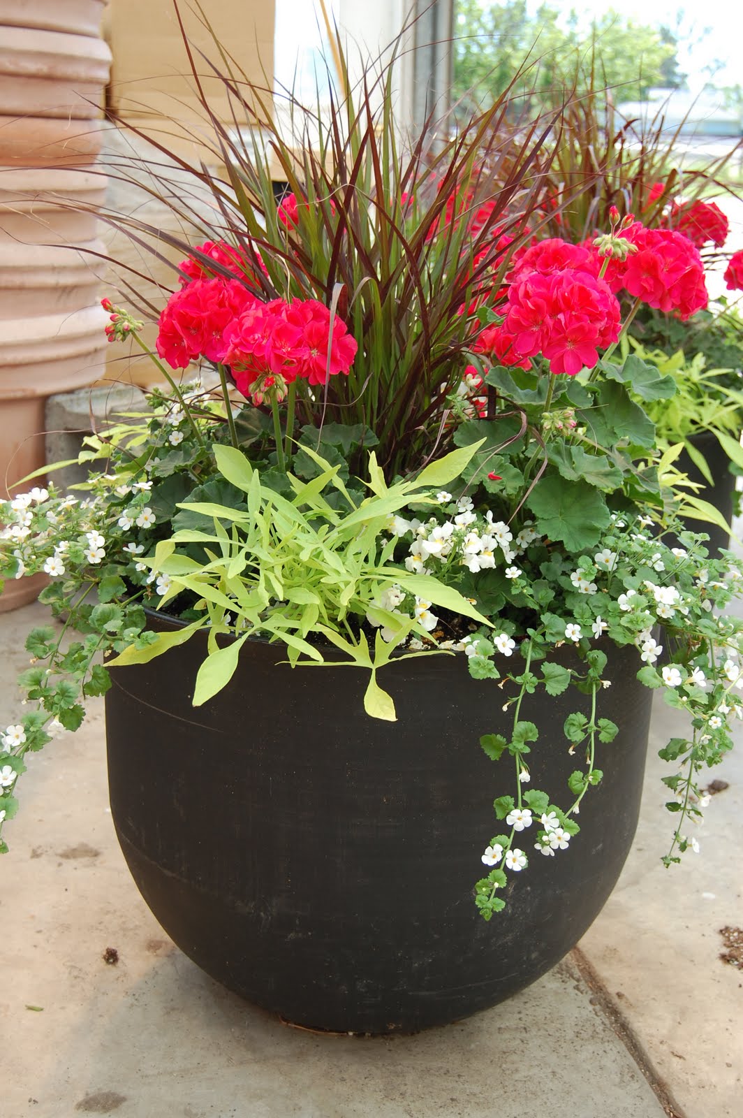 flower pot ideas full sun Patio Plant Pot Ideas | 1064 x 1600