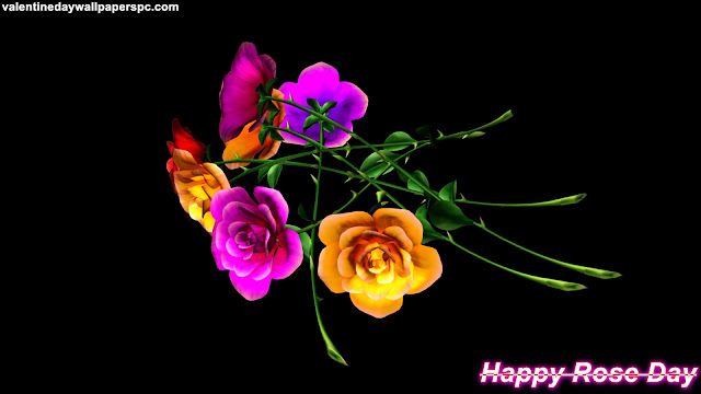 Rose Day Colorful Wallpaper