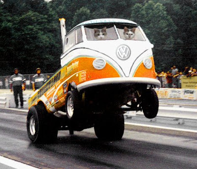 First was a VW bus monster truck which we just loved