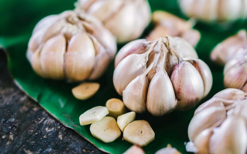 5 Amazing Benefits of Garlic - Web News Orbit
