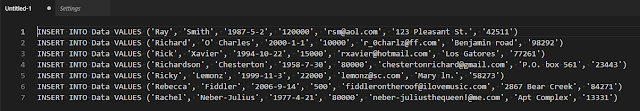 Our new SQL INSERT statements