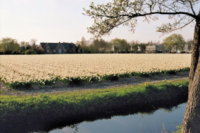 Lisse, landgoed Wassergeest