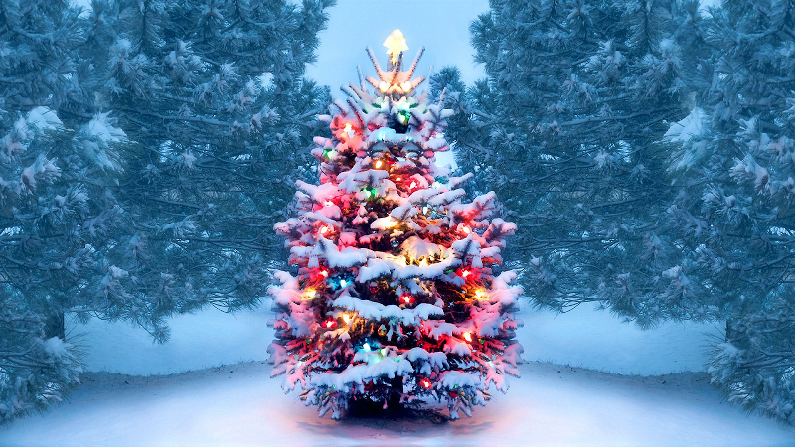 What Is the Best Cheap Christmas Decorations You Must Know About? 