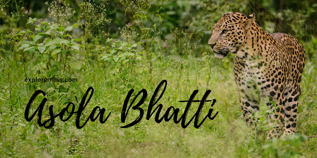 Asola Bhatti, wildlife sanctury, Delhi