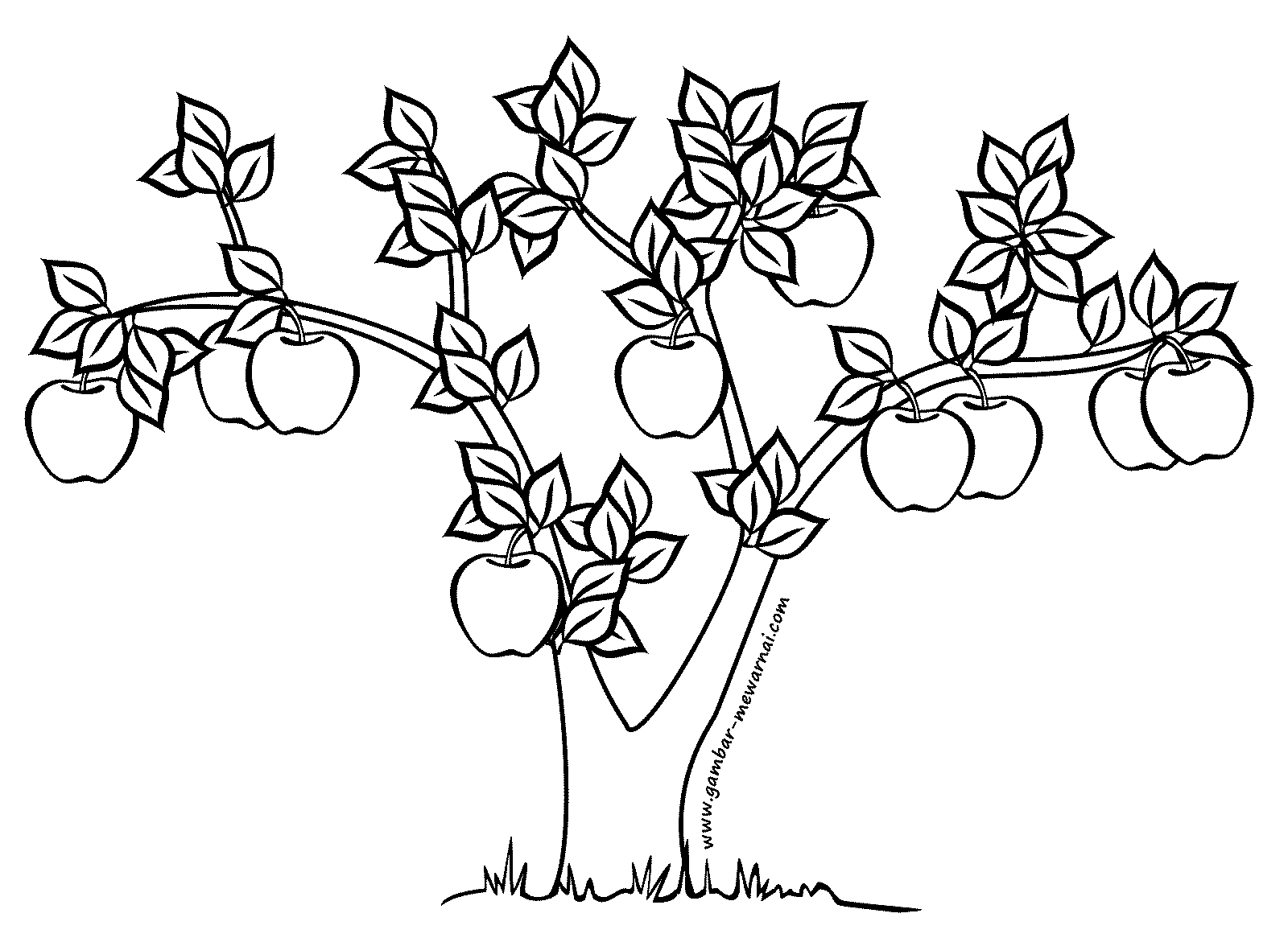 Kumpulan Gambar Kartun Pohon Apel Terbaru Kolek Gambar