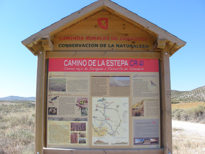 camino de la estepa CR 41