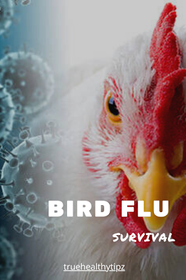 https://truehealthytipz.blogspot.com/2021/03/bird-flu-survival.html