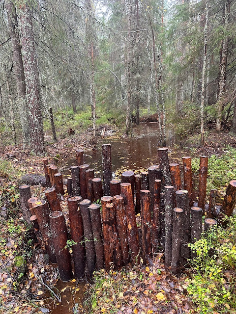 Puupato metsäojan tukkeena