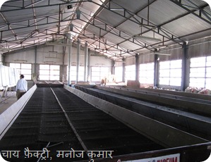झिंगूर दास 206