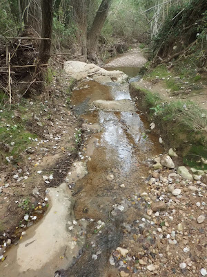 La Bisbal del Penedès a Montserrat; Camí a la Font dels Capellans al terme de Cabrera d'Anoia; Torrent de Canaletes