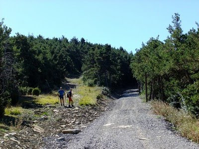 Abandonamos la pista