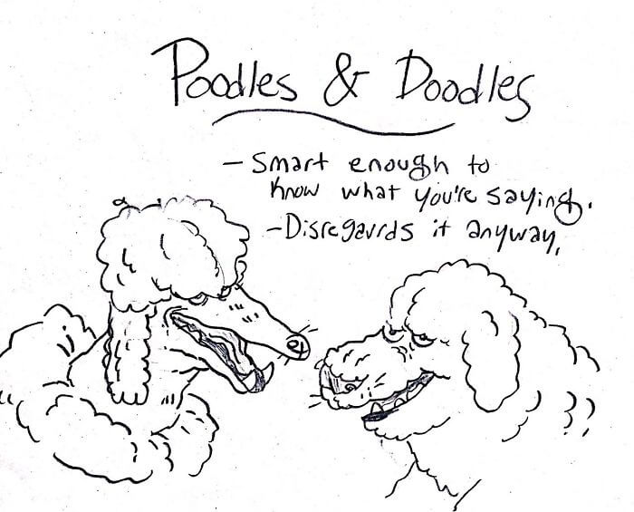 Funny Comic Series That Will Help You Identify Most Dog Breeds