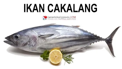 tuna cakalang