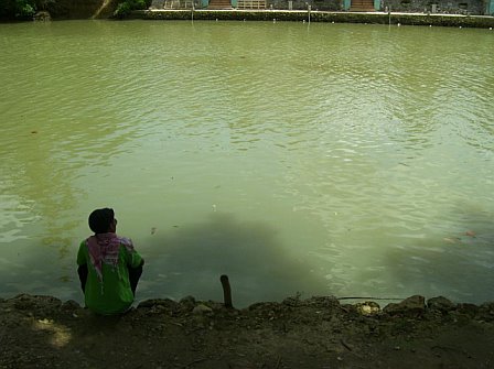 Bohol Island Phi.