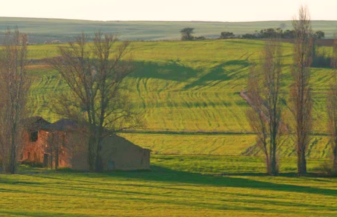 TdeO va por Tierra de Campos