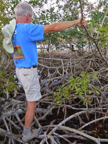 SearchingfortheTrailBeforetheSunSets-3-2015-02-16-08-26.jpg