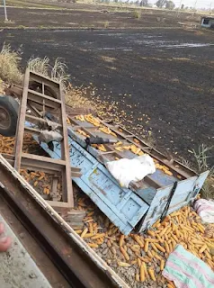 اصطدام قطار «المنصورة – المطرية»  بمقطورة جرار زراعي في الدقهلية