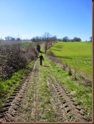 IMG_4926