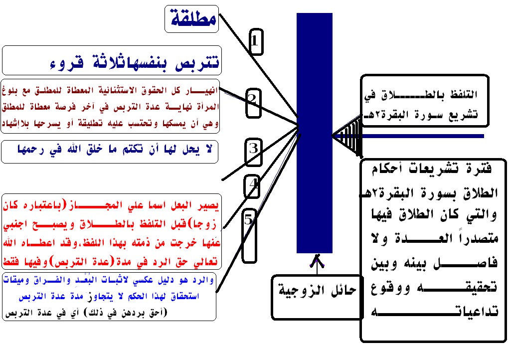 💧💧 المصحفُ مكتوباً بصيغة وورد: ما هي أبواب الفقه التي أنهت وجودها سورة  الطلاق المنزلة في العام 5 أو 6 هجري