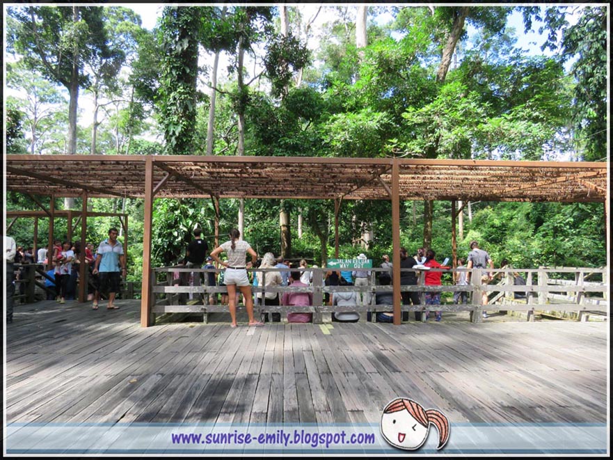 Sepilok Orang Utan Rehabilitation Centre @ Sandakan, Sabah