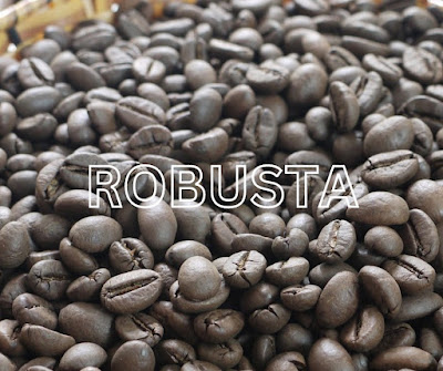 Robusta Coffee Beans