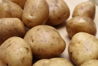 cara menanam kentang