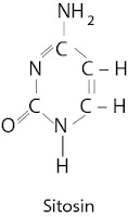 Sitosin