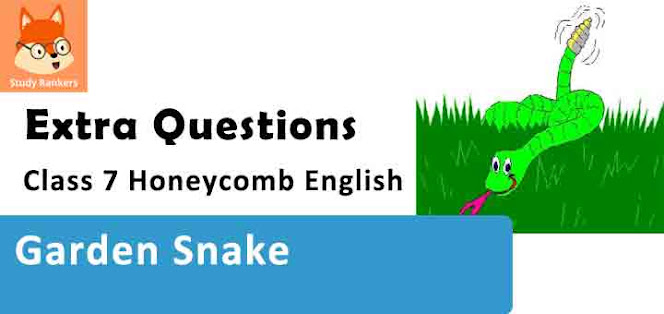 Garden Snake Poem Important Questions Class 7 Honeycomb English